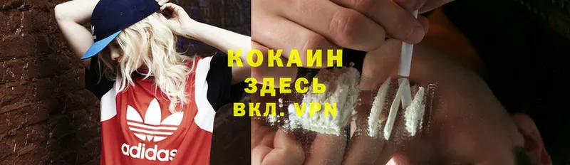 Cocaine Fish Scale  купить наркоту  darknet телеграм  Каневская 